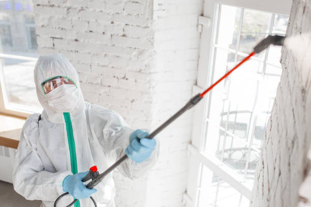 Trusted Sleepy Hollow Lake, NY Mold Removal Experts