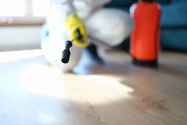 Best Dehumidification Services  in Sleepy Hollow Lake, NY