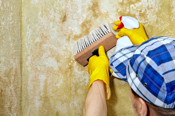 Best Residential Mold Inspection & Testing  in Sleepy Hollow Lake, NY