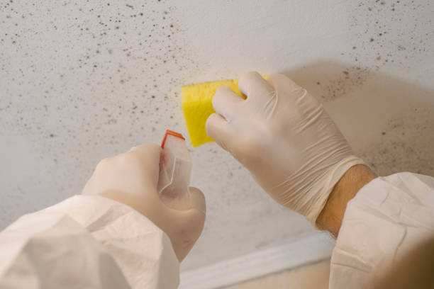 Best Water Damage & Mold Remediation  in Sleepy Hollow Lake, NY