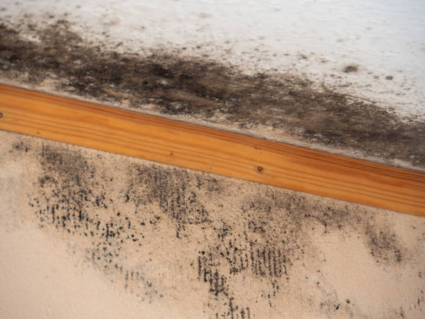 Best Indoor Air Quality Assessment  in Sleepy Hollow Lake, NY